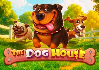 ko888 The Dog House ทดลองเล่นฟรี